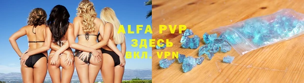 круглые Белокуриха