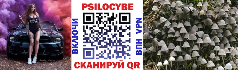 Псилоцибиновые грибы Psilocybine cubensis mega tor Большой Камень
